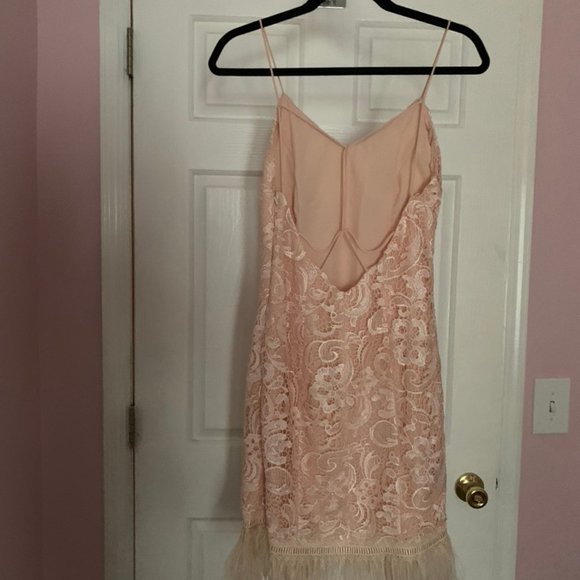 MINUET Lace feather trim dress - Picture 6 of 7